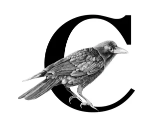 C est pour Corbeau