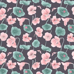 Motif de capucine coloris 1, 2020