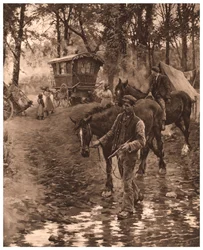 Nomades, 1903