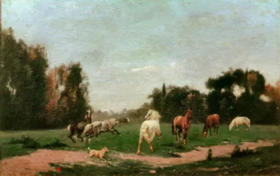 Chevaux gambadant dans la prairie