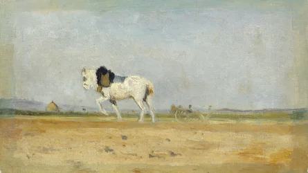 Un cheval de labour dans un champ