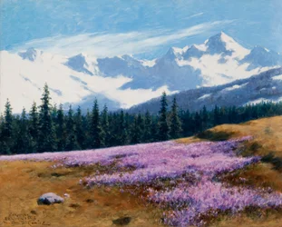 Crocus avec montagnes enneigées en arrière-plan