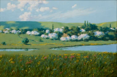Paysage de printemps avec un étang