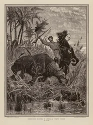 Chasse au rhinocéros en Afrique