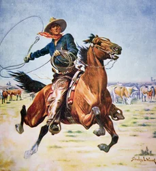 Cowboy du Texas