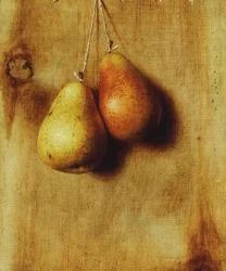 Poires suspendues