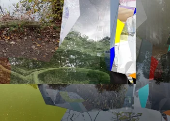 Une nature urbaine fragmentée