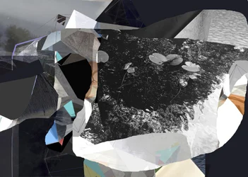 Nénuphars fragmentés