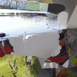 Collage abstrait « Cygne blanc »