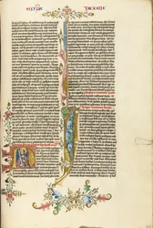Initial N : Saint Jacques à l