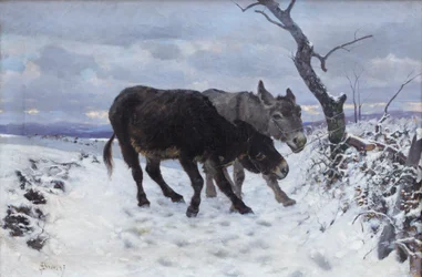 Les deux ânes dans la neige