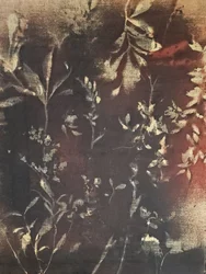 Étude botanique sombre