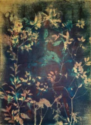 Botaniques bleus éthérés