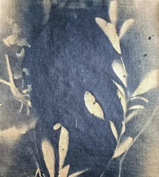 Impressions de feuilles indigo