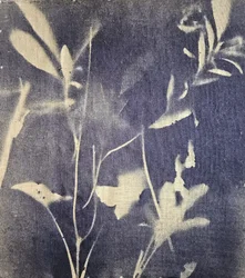 Bleus botaniques vintage