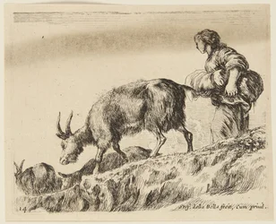 Chèvres (Animaux divers, 14)