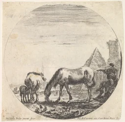 La pyramide de Caius Cestius à droite en arrière-plan, un cheval broutant, vers 1643-48
