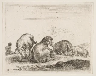 Planche 12 : moutons et bélier dans un pâturage, de Divers animaux