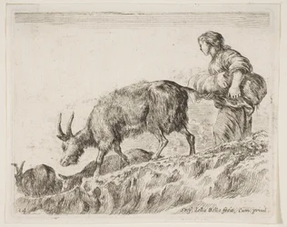 Bergère gardant des chèvres, de Diversi animali