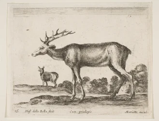 Planche 16 : cerf, de Divers animaux Diversi animali, vers 1641