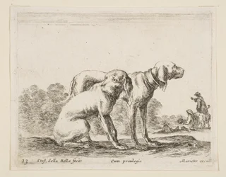 Deux chiens, de Diversi animali