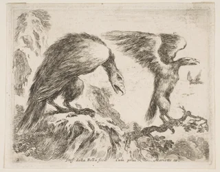 Planche 2 : aigle et aiglon, de Divers animaux