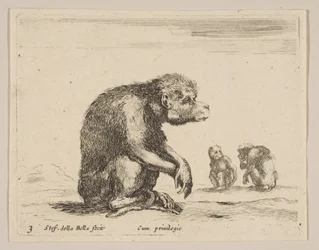 Singe assis, de Diversi animali
