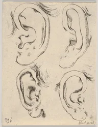 Planche 5: quatre oreilles, du Livre pour apprendre à dessiner, vers 1649