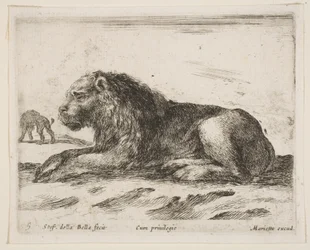 Lion couché, de Diversi animali