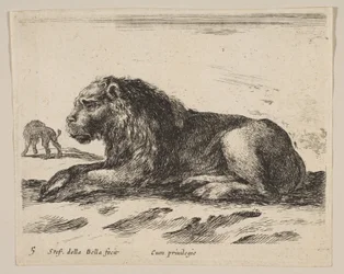 Planche 5 : lion couché, de Divers animaux, vers 1641