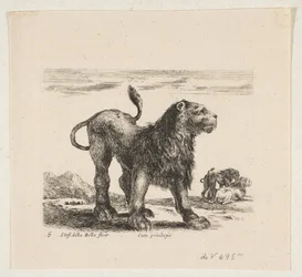 Planche 6 : lion, de 