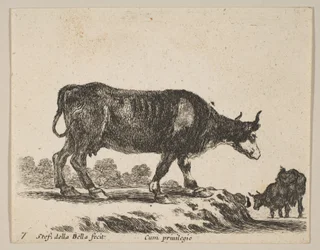 Vache, de Divers animaux