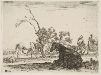 Planche 8 : un cheval assis à droite, vu de derrière et tourné vers la gauche, trois autres chevaux..., 1642