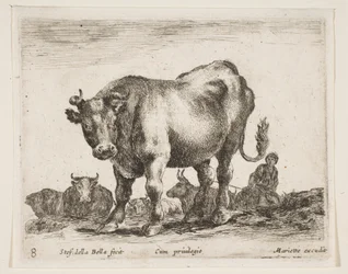 Planche 8 : vache, de Divers animaux Diversi animali, vers 1641