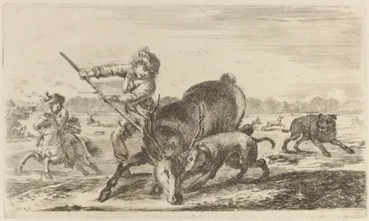 Cerf au piège