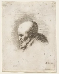 Tête de vieillard chauve et barbu