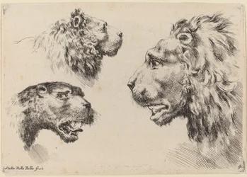 Trois têtes de lion