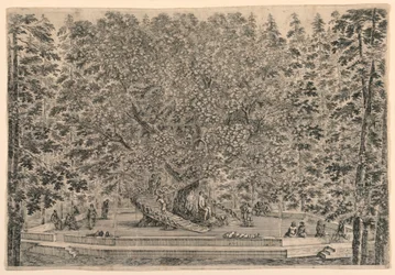 Arbre avec deux escaliers en spirale