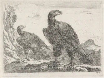 Deux aigles avec les têtes tournées vers la droite