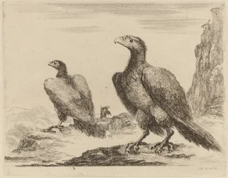Deux aigles, tous deux tournés vers la gauche, sur une haute falaise