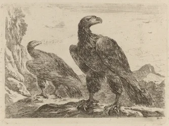 Deux aigles, tous deux tournés vers la droite