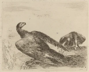 Deux aigles sur un promontoire