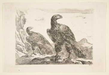 Deux aigles, des 