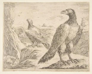 Deux aigles, des Aigles Les aigles, vers 1651
