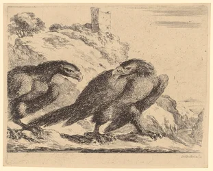 Deux aigles près d