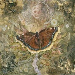 Ailes de papillon éthérées