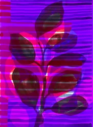 Rayure botanique I, 2018 (numérique)