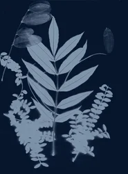 Cyan Foliage 01, 2017 (numérique)