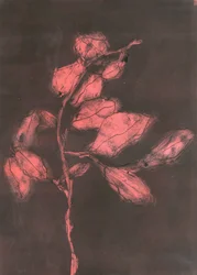 Feuillage I, 2015 (monoprint sur papier)
