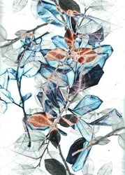 Freyr X, 2018 (numérique)